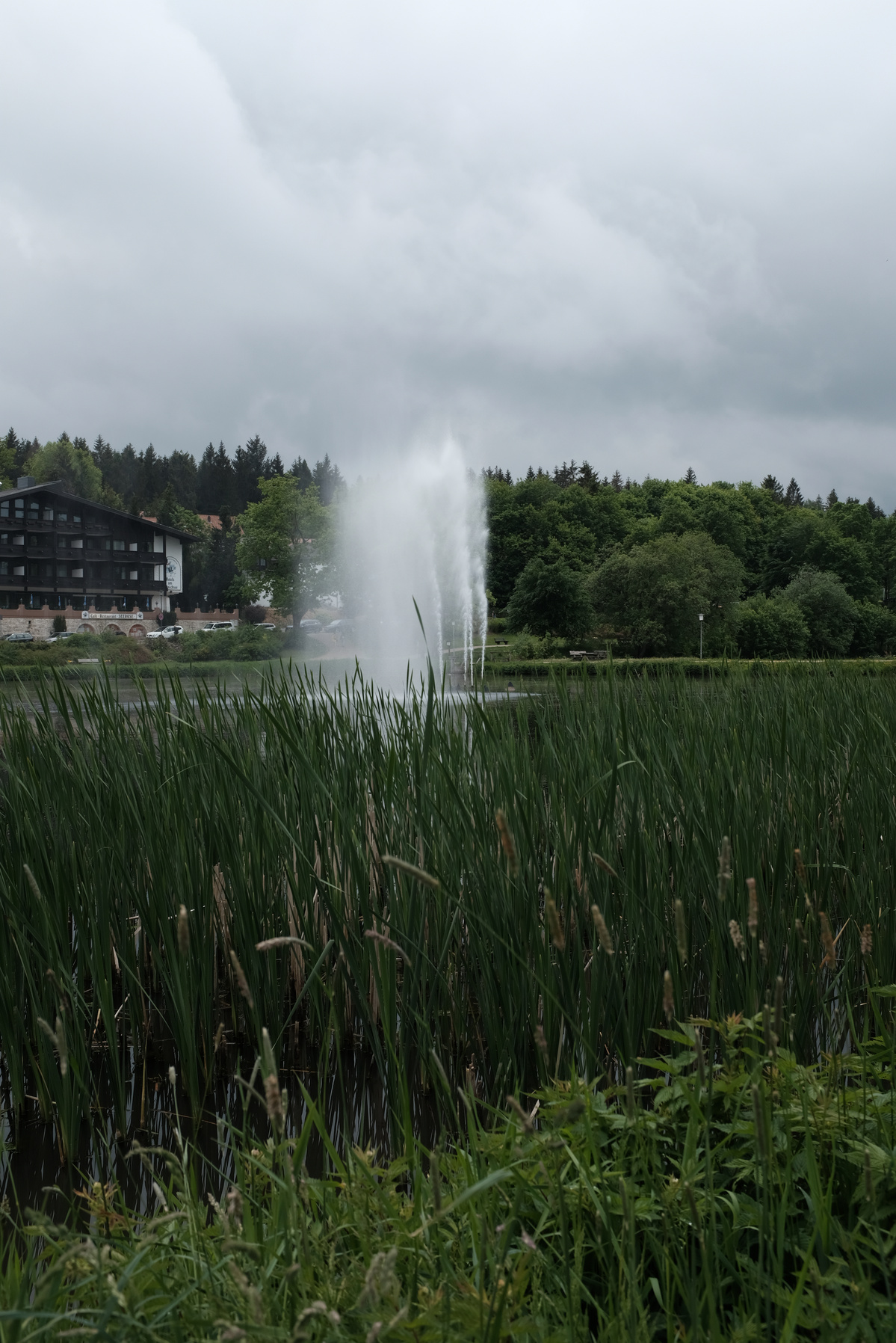 harz